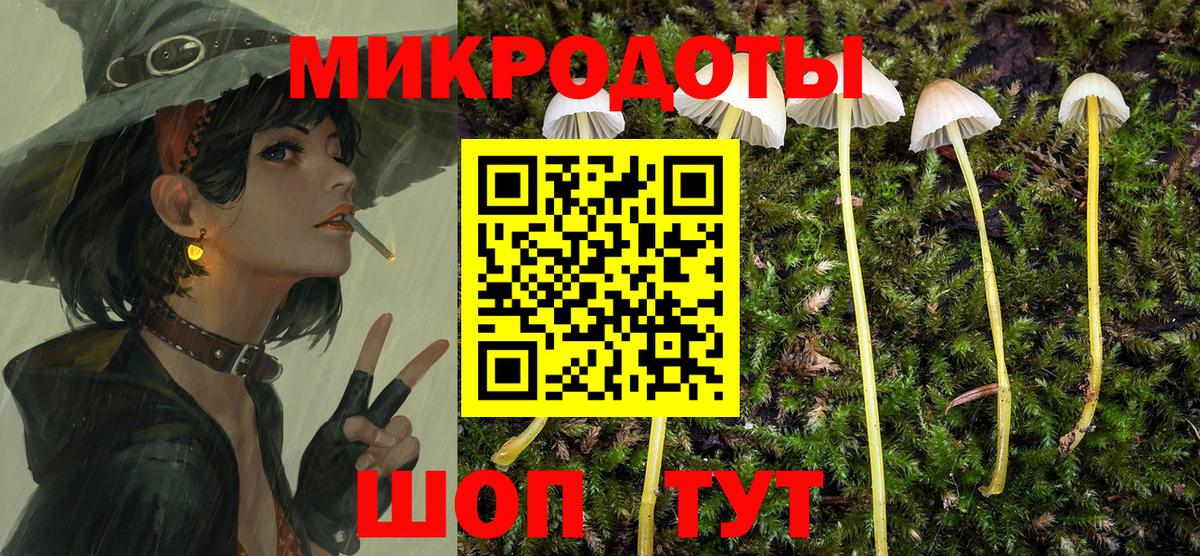 Галлюциногенные грибы MAGIC MUSHROOMS  продажа наркотиков  Вход с VPN  Зерноград  Псилоцибиновые грибы прущие грибы 